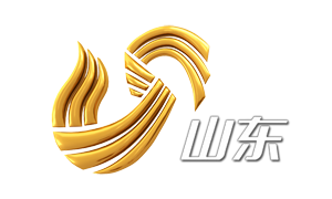 山东台台标