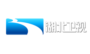湖北台台标
