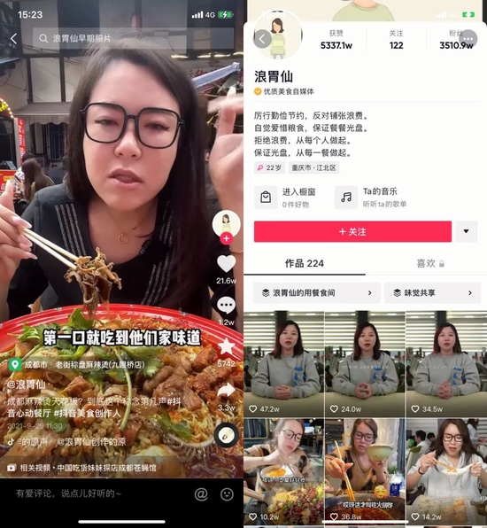 浪胃仙