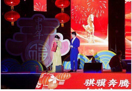 2026 惠阳区春节联欢晚会