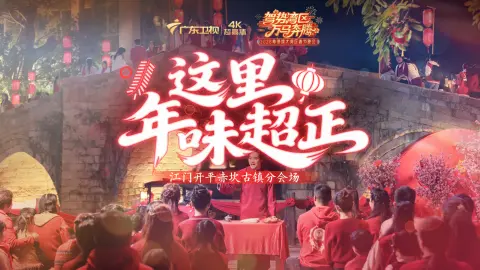#广东非遗歌舞不愧是老祖宗严选#这场中外对决太惊喜！用琵琶演绎《这里的年味超正》，一弦一韵都是广式新年的鲜活模样！@广东卫视 #广东卫视湾区春晚#春晚大赏#俞冰